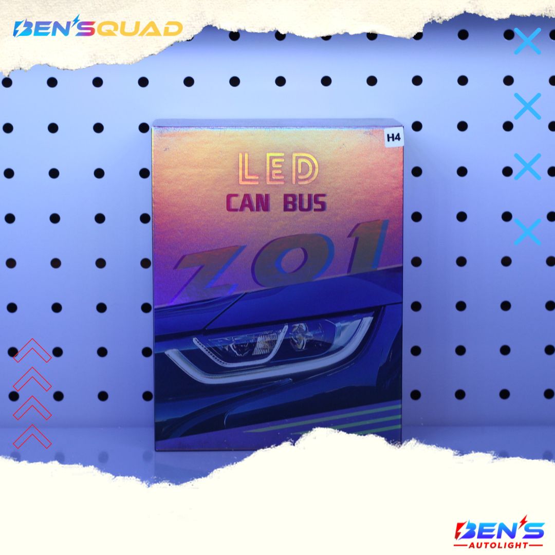 Z01